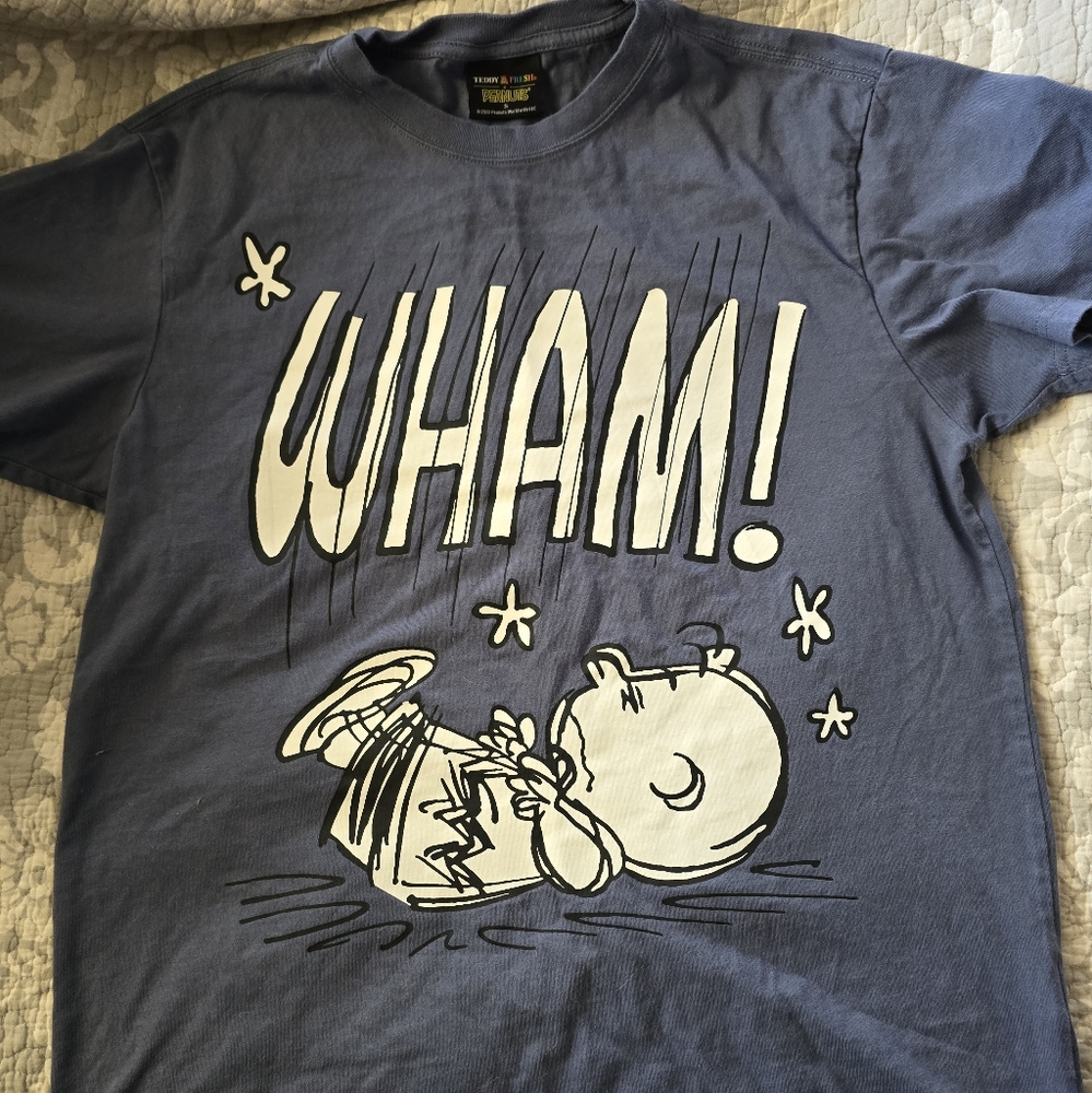 Teddy Fresh x Peanuts Charlie Brown t-shirt, unisex S, great condition